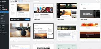 Which is the best WordPress Theme